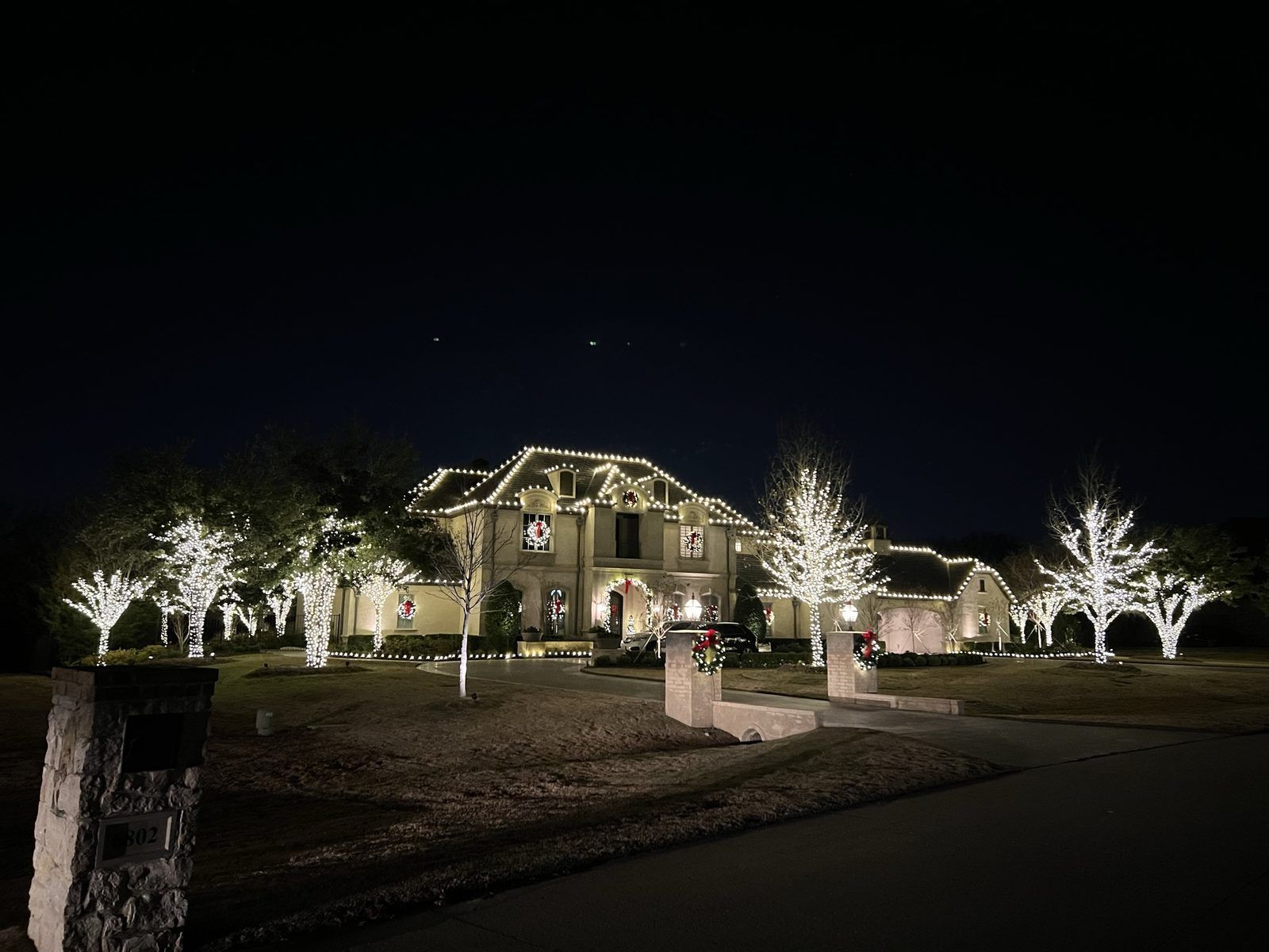 Christmas light installation Bluffview TX blue and white tree lights