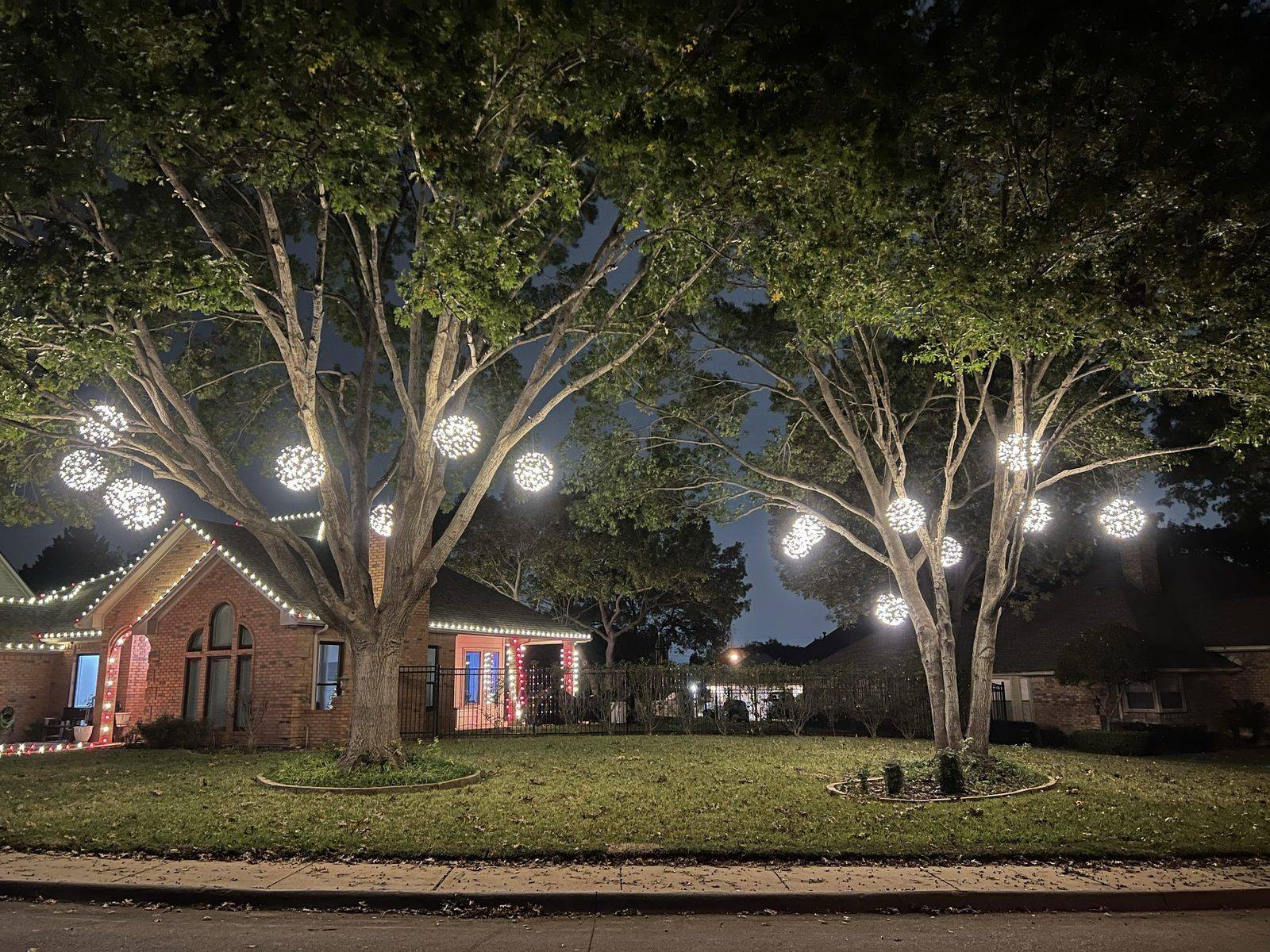 Custom Christmas light spheres hanging in trees Dallas TX Custom Christmas light spheres hanging in trees Dallas TX