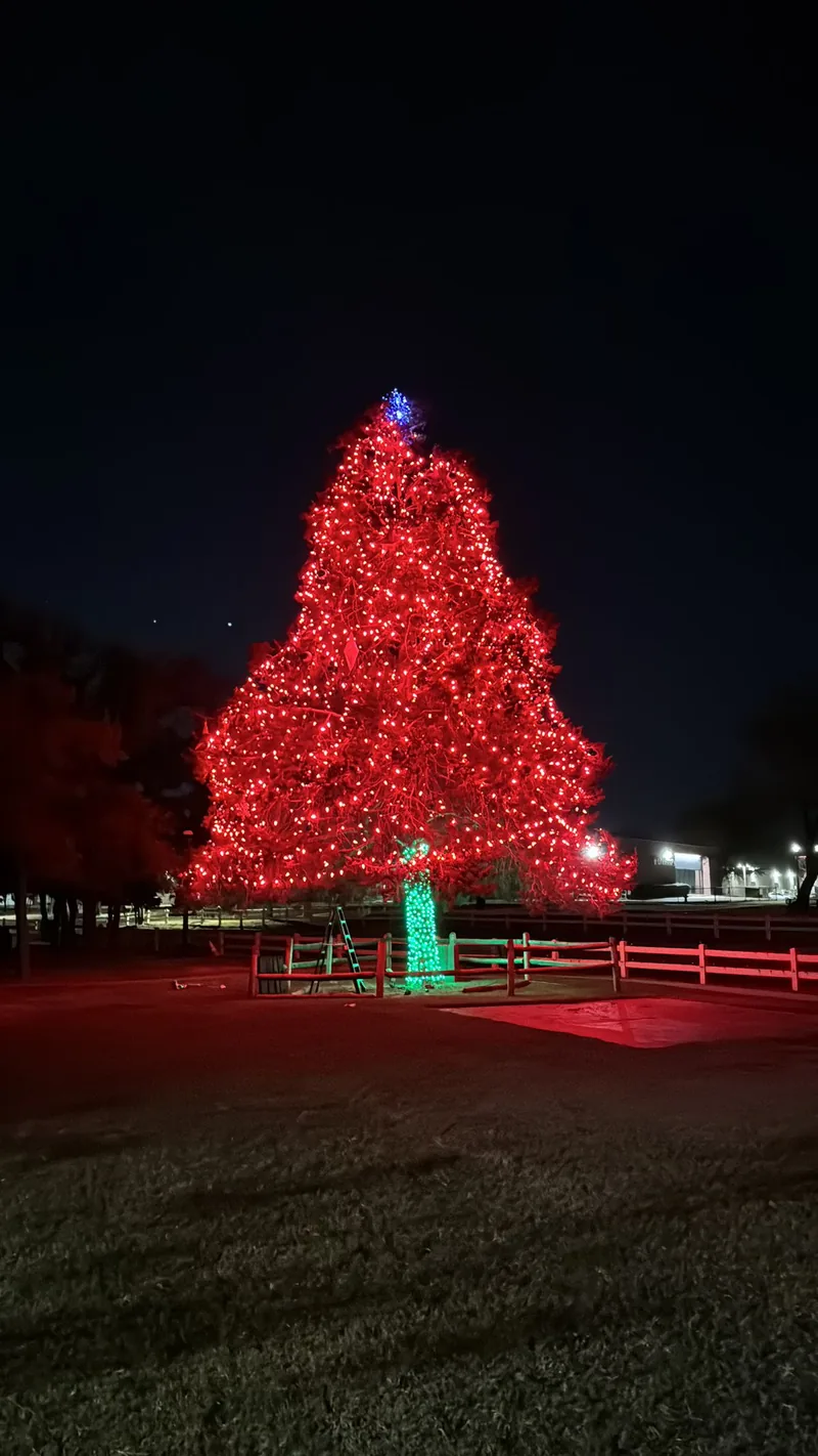 Commercial Christmas light installation DFW β large lit centerpiece tree at a business property