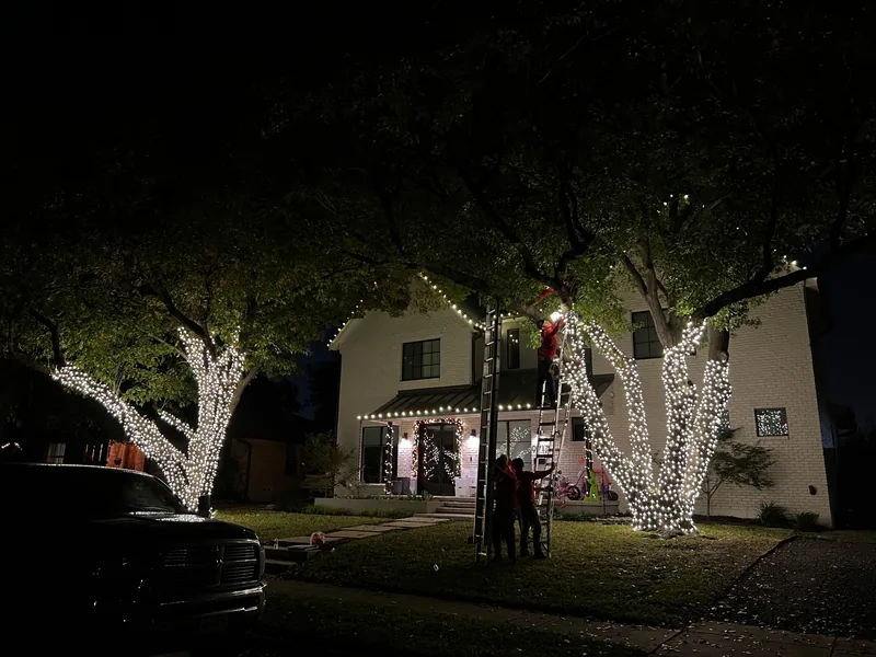 Christmas light installation Dallas TX — warm white roofline and wrapped trees on a white home