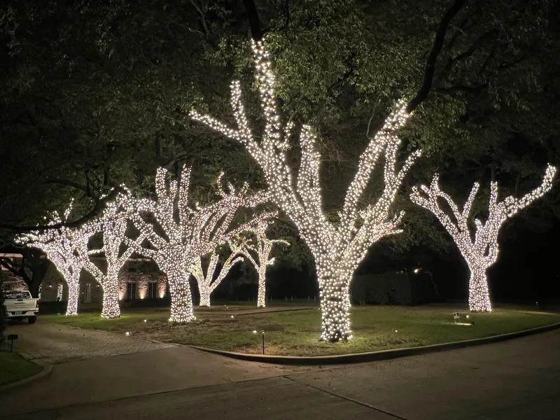 Christmas light installation Dallas TX — warm white fully wrapped feature oak trees